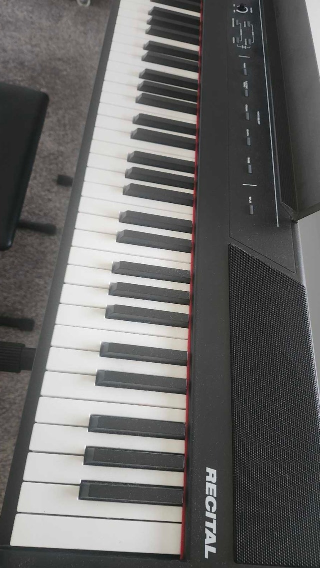 Alesis Recital 88-Key Digital Piano - photo 3