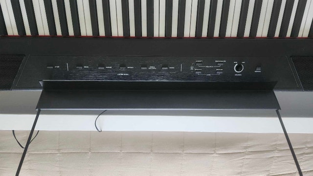Alesis Recital 88-Key Digital Piano - photo 5