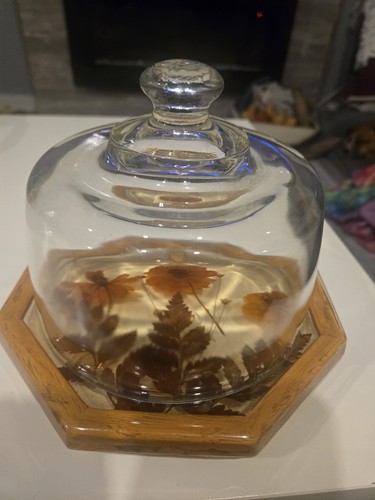 Vintage 1970s Lucite Cheese Dome Server Design Gifts Internation