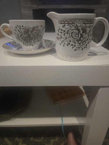 Vintage EIT Kew Gardens Brown Ironstone Creamer and Tea Cup Sauc