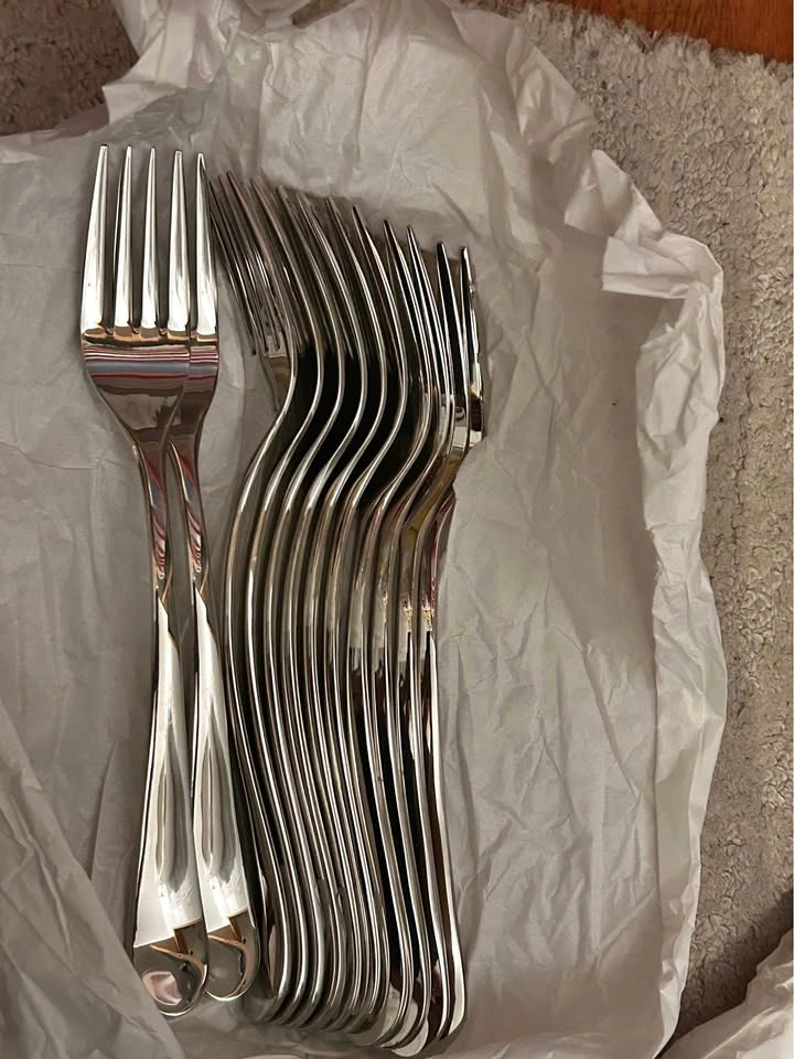Stainless Steel Dinner Fork Set