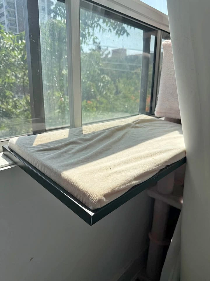 Cat Metal Window Perch Seat