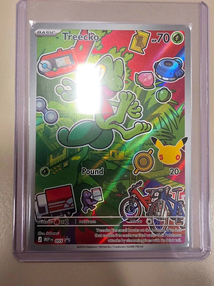 Pokemon Hoenn Starter series 3 partner illustration set - photo 5
