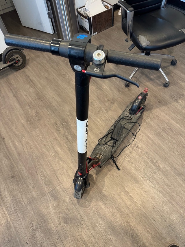 GoTrax Scooter