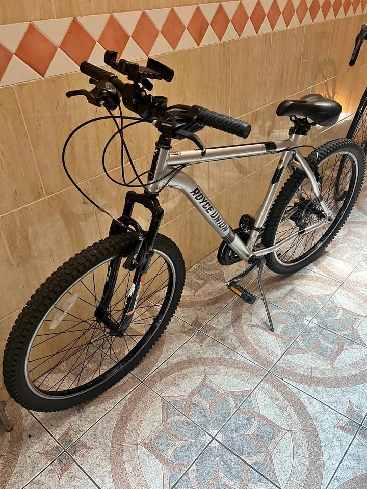 Royce Union RTT Mountain Bike