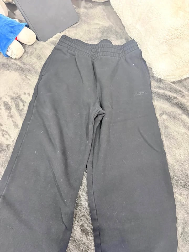 Aritzia sweats