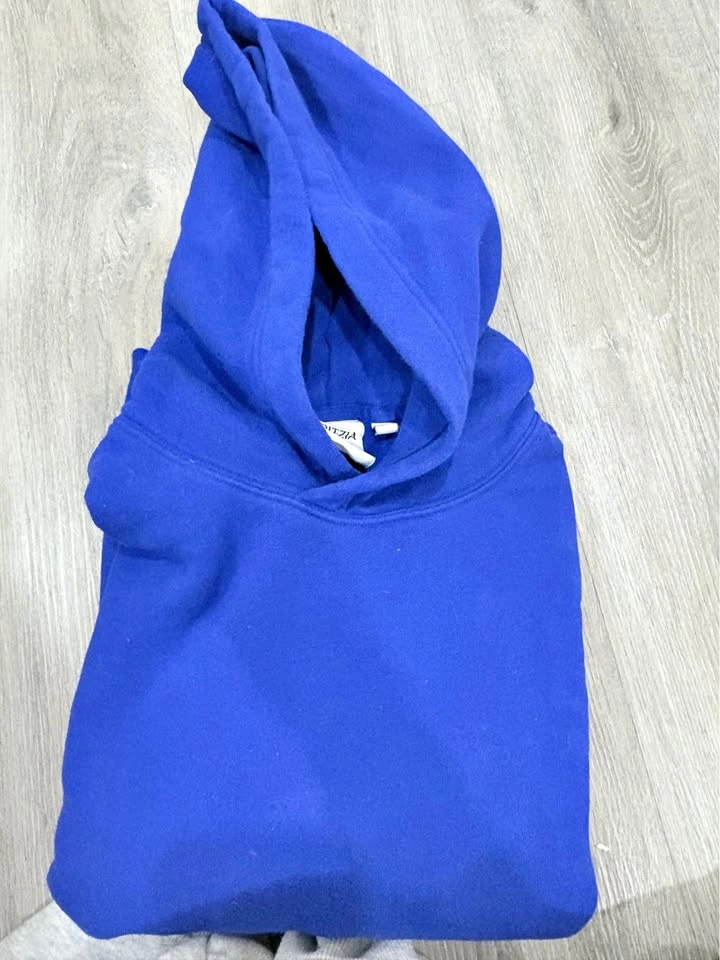 Aritzia hoodie