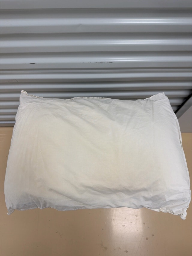 Pillows with pillow case