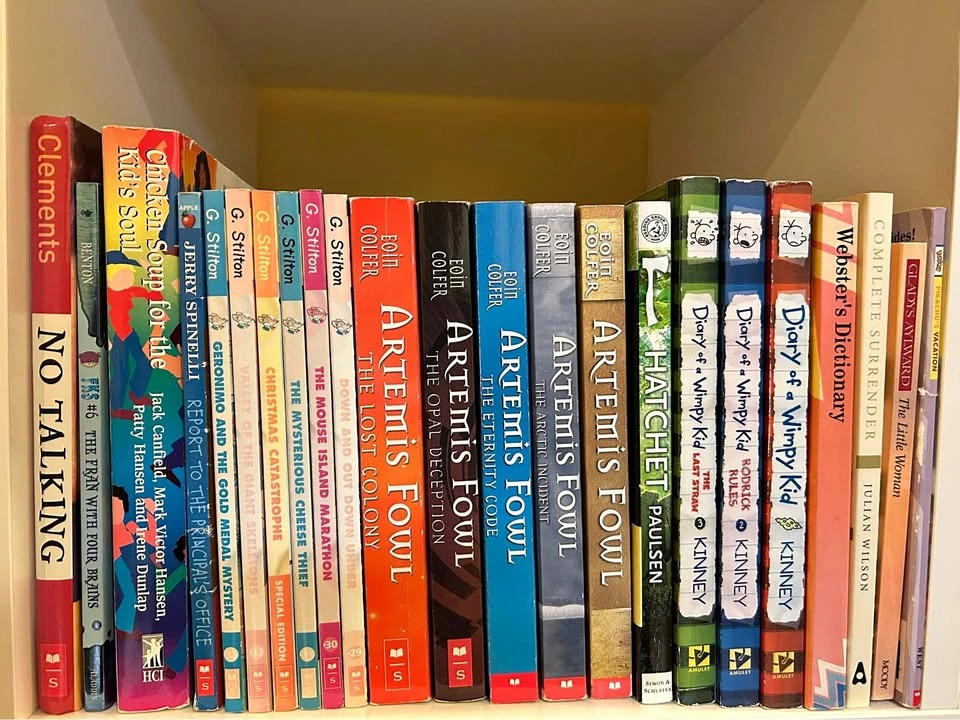 Assorted English Books