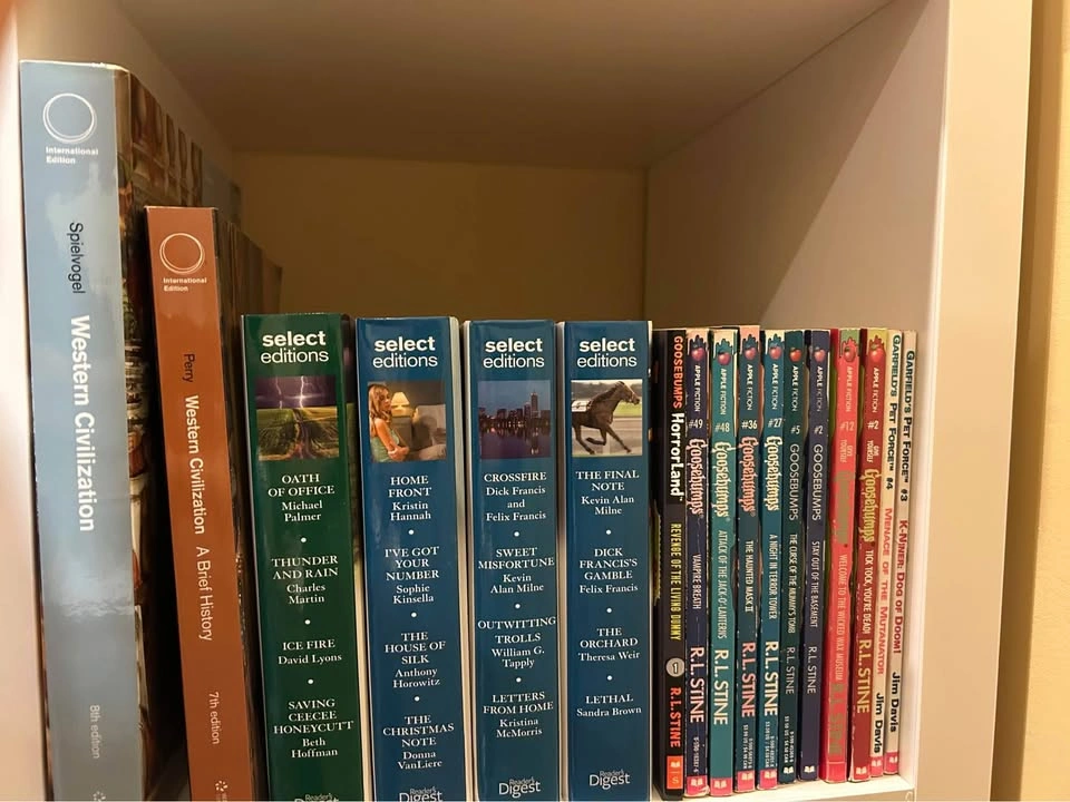 Assorted English Books - photo 3