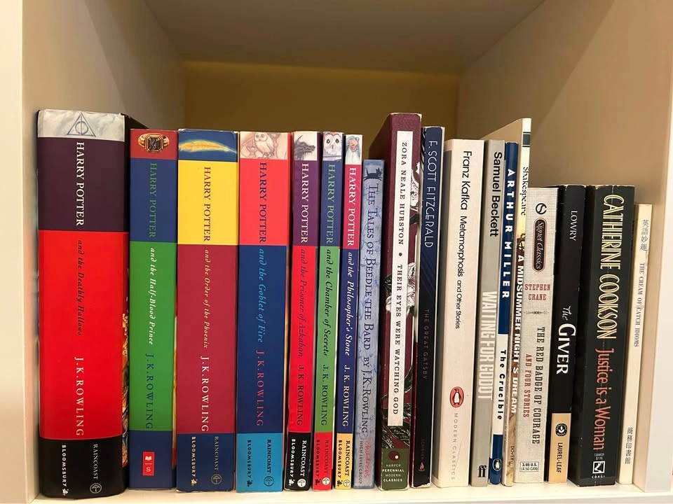 Assorted English Books - photo 5