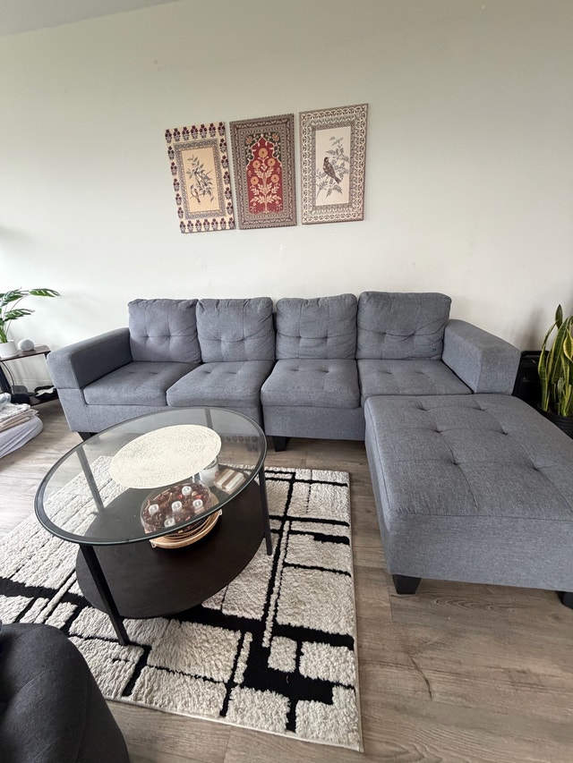 Grey Sectional Sofa with Ottoman