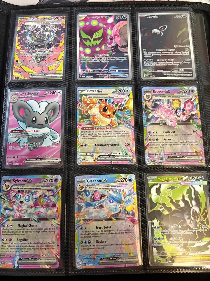 Modern Pokemon Binder (Ex, IRs, Sirs, Promos, Trainers)