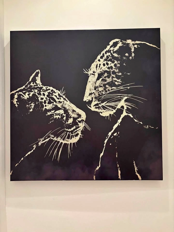 Brand new canvas