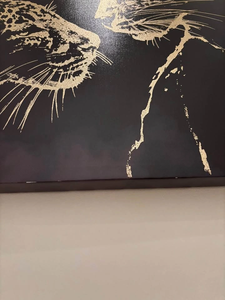 Brand new canvas - photo 2