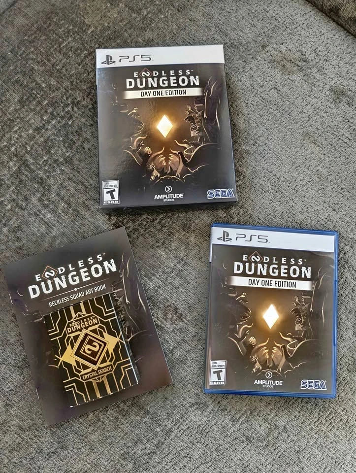 Endless Dungeon PS5