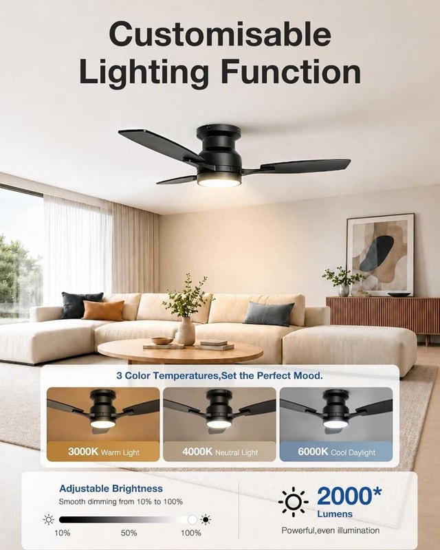 Warmiplanet 42 Inch Ceiling Fan with Lights - photo 3