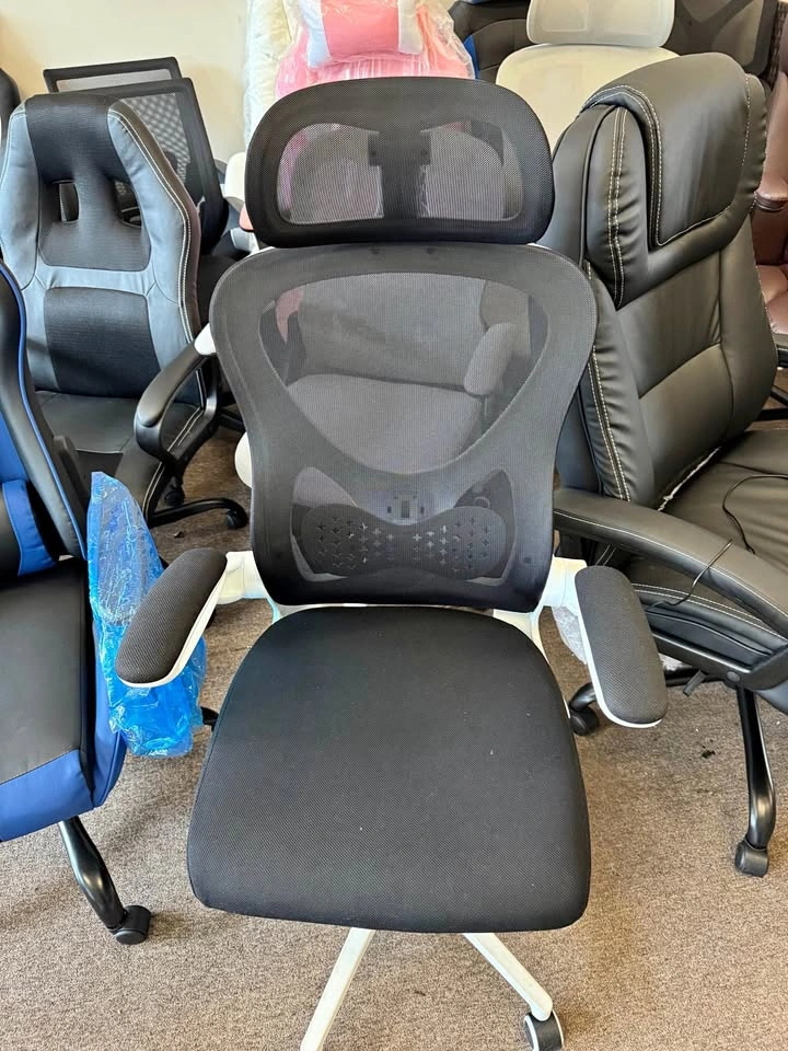 ✨new ergonomic office chair✨
