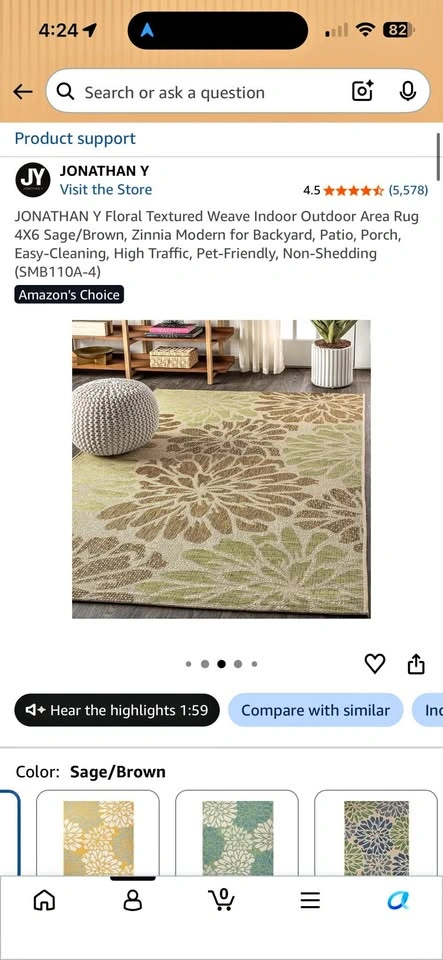 Outdoor/indoor rug