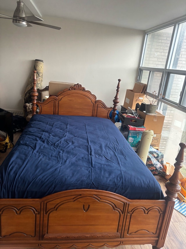 curved bed frame