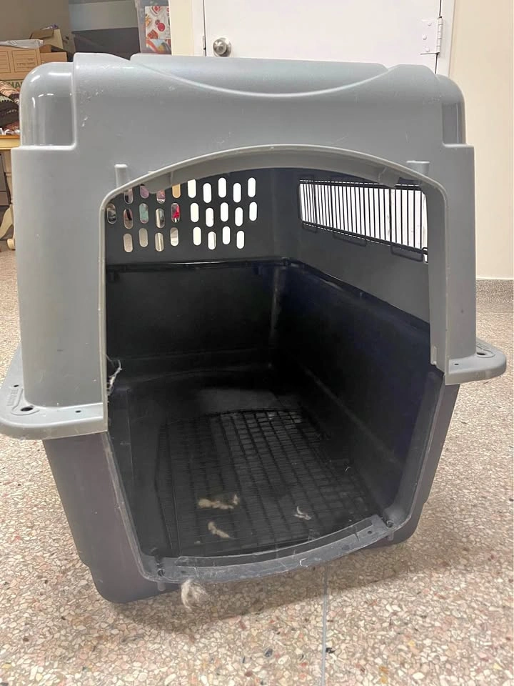 Petmate Vari Dog Kennel XL Plastic Travel Crate