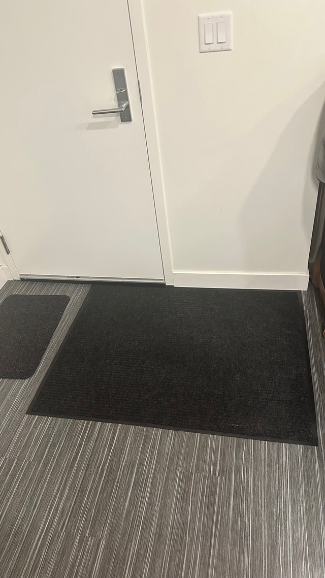 Black Door Mats