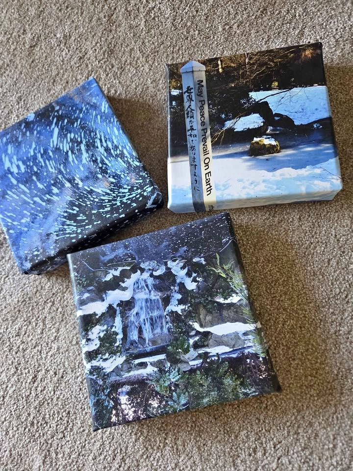 Set of 3 Nature Themed Canvas Wall Art