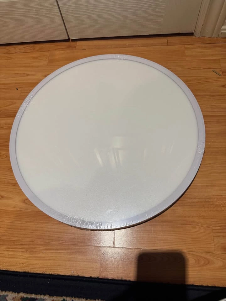 Bright Future Lighting 20" LED Flush Mount Ceiling Light