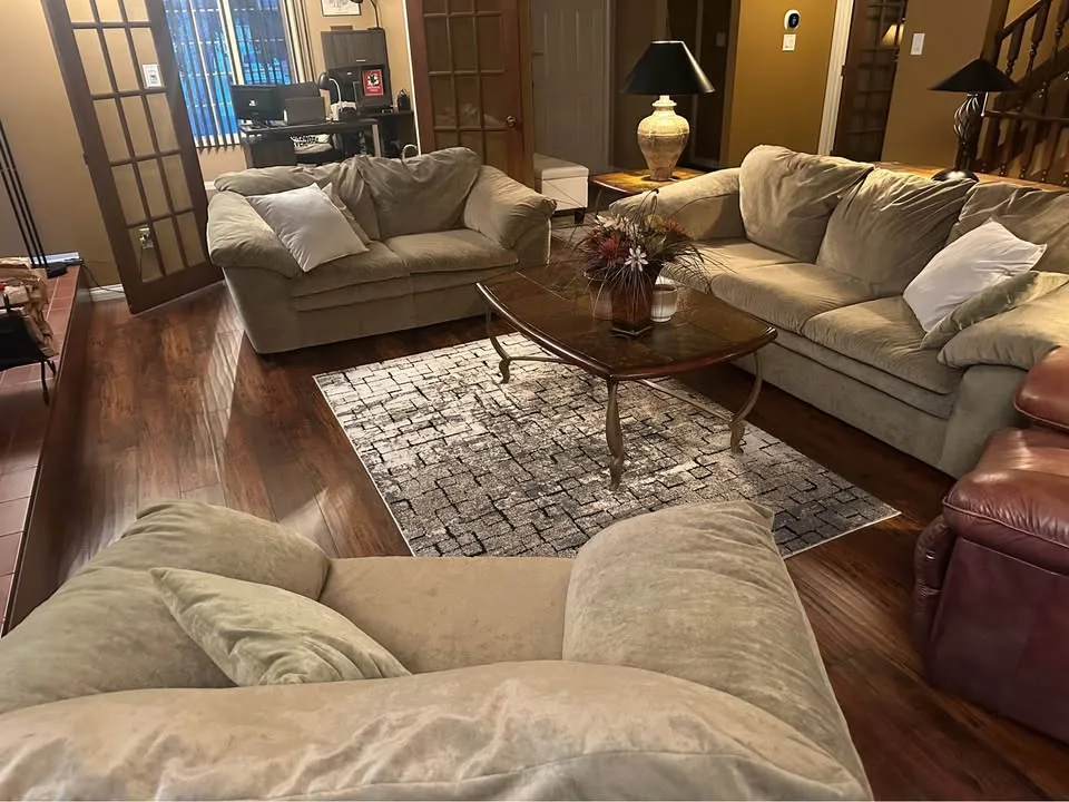 Plush living room couch set image indicator(2)