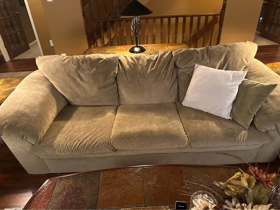 Plush living room couch set image indicator(4)