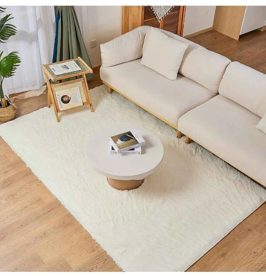 Brand new 8x10 ft Area Rug - Fluffy Shag Carpet - photo 3