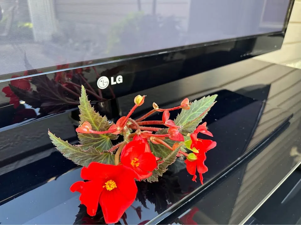 LG 60” TV and LG Surround Sound & Stand image indicator(7)