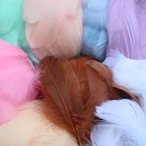 100/500 PCS Colorful Feathers, Suitable For Gift Box Packaging F