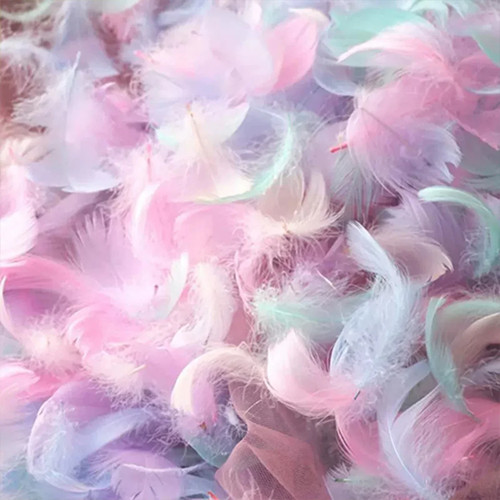 100/500 PCS Colorful Feathers, Suitable For Gift Box Packaging F - photo 4