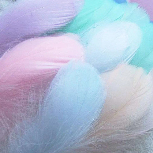 100/500 PCS Colorful Feathers, Suitable For Gift Box Packaging F - photo 5
