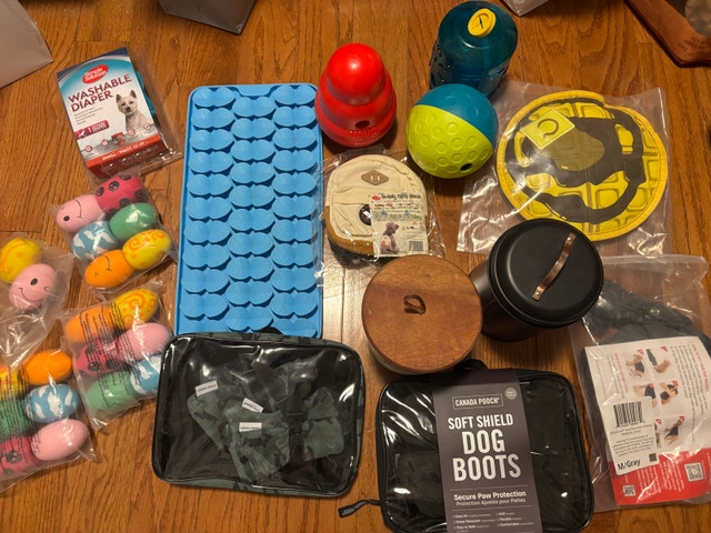 Canada Pooch and KONG Dog Supplies Bundle