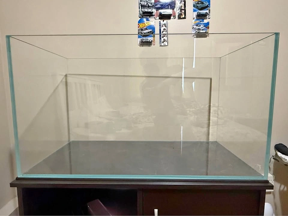 Rimless fish tank 53.6 GAL
