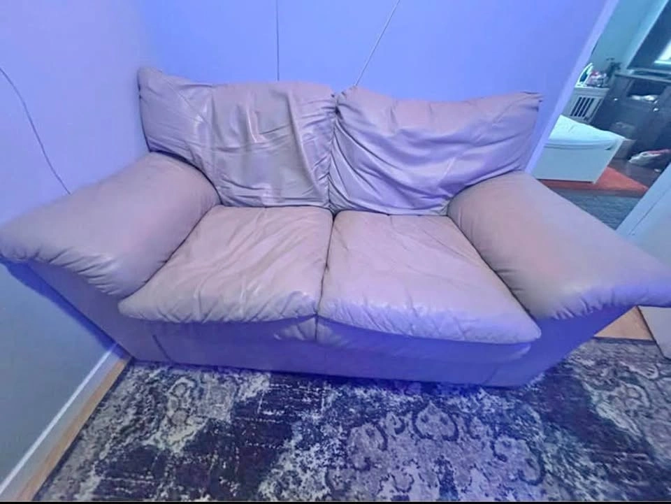 Love seat couch