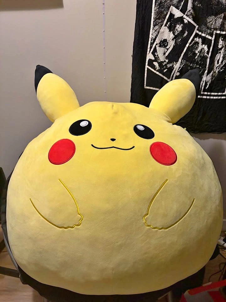 Chonky Pikachu