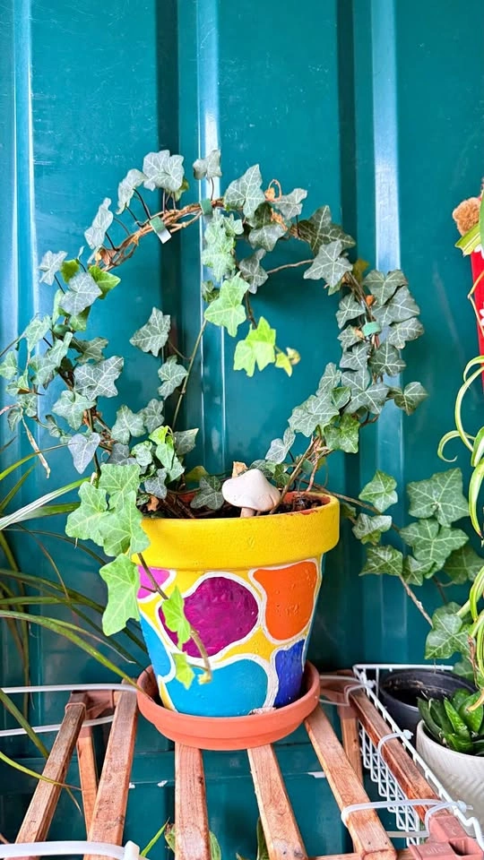 English Ivy in a Hand-Painted Terracotta Pot
