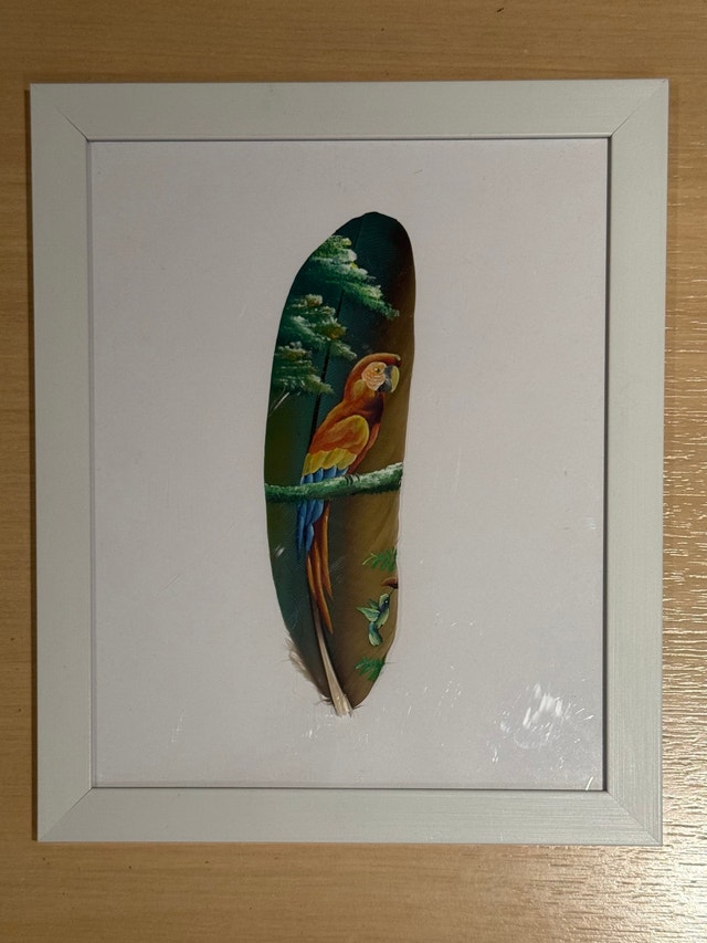 Hand Painted Macaw Parrot Feather Art