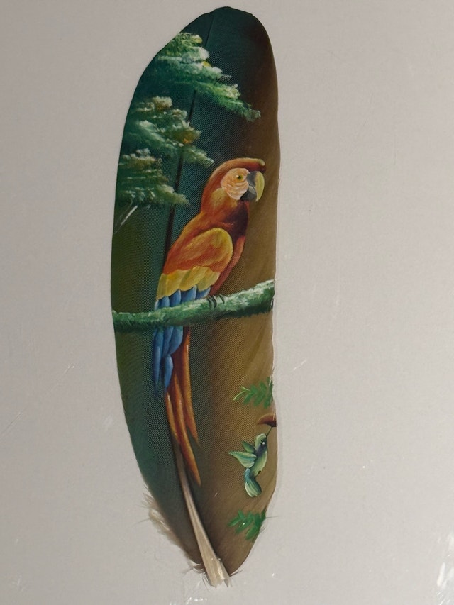 Hand Painted Macaw Parrot Feather Art - photo 2