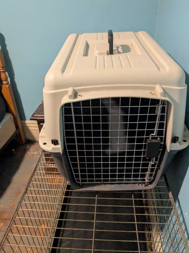 dog crate