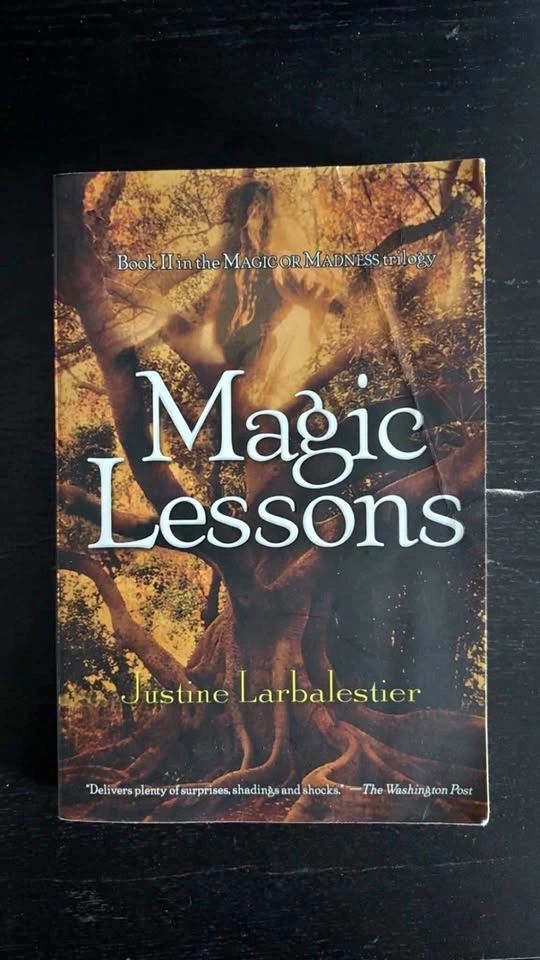 Magic Lessons