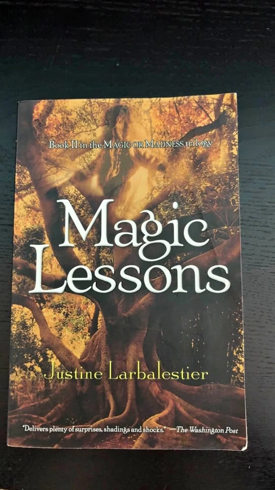 Magic Lesson Book