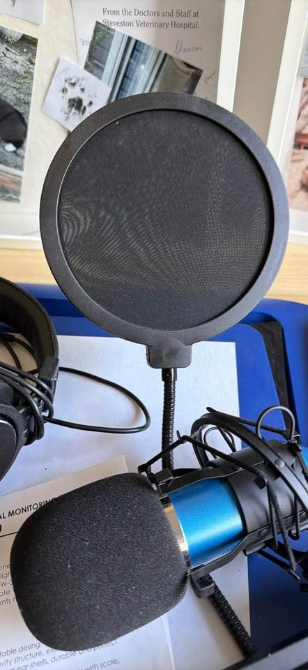 Podcast Neewer headphones and microphone - photo 4