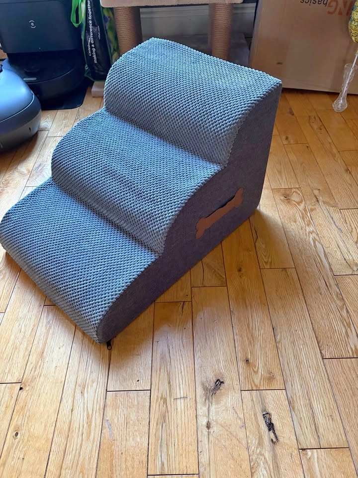 Pet stairs ramp