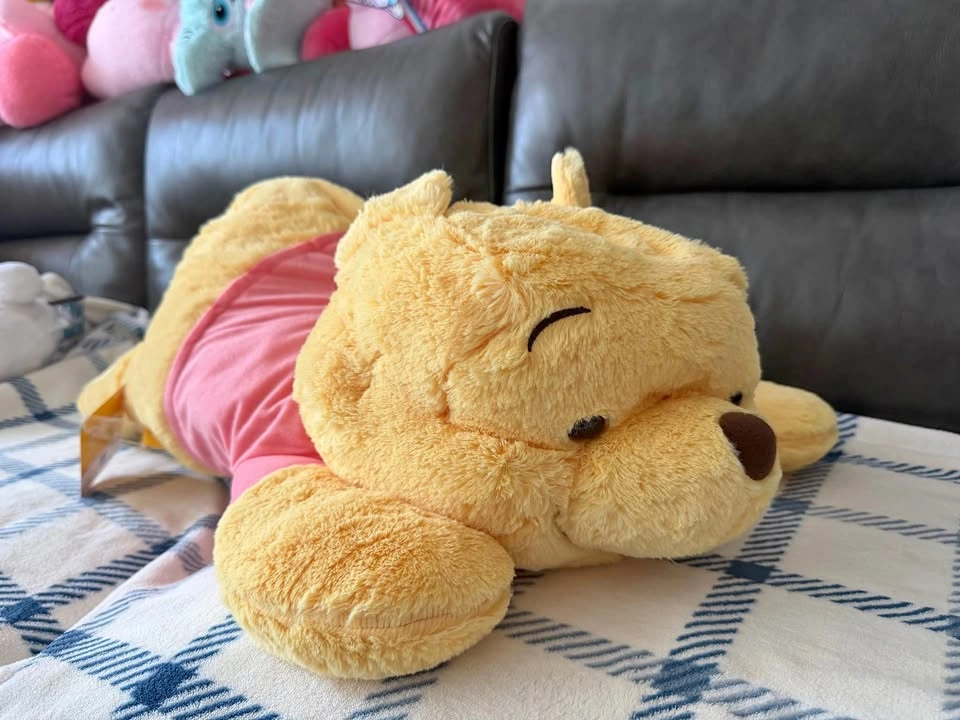 Large Winnie the Pooh plushie