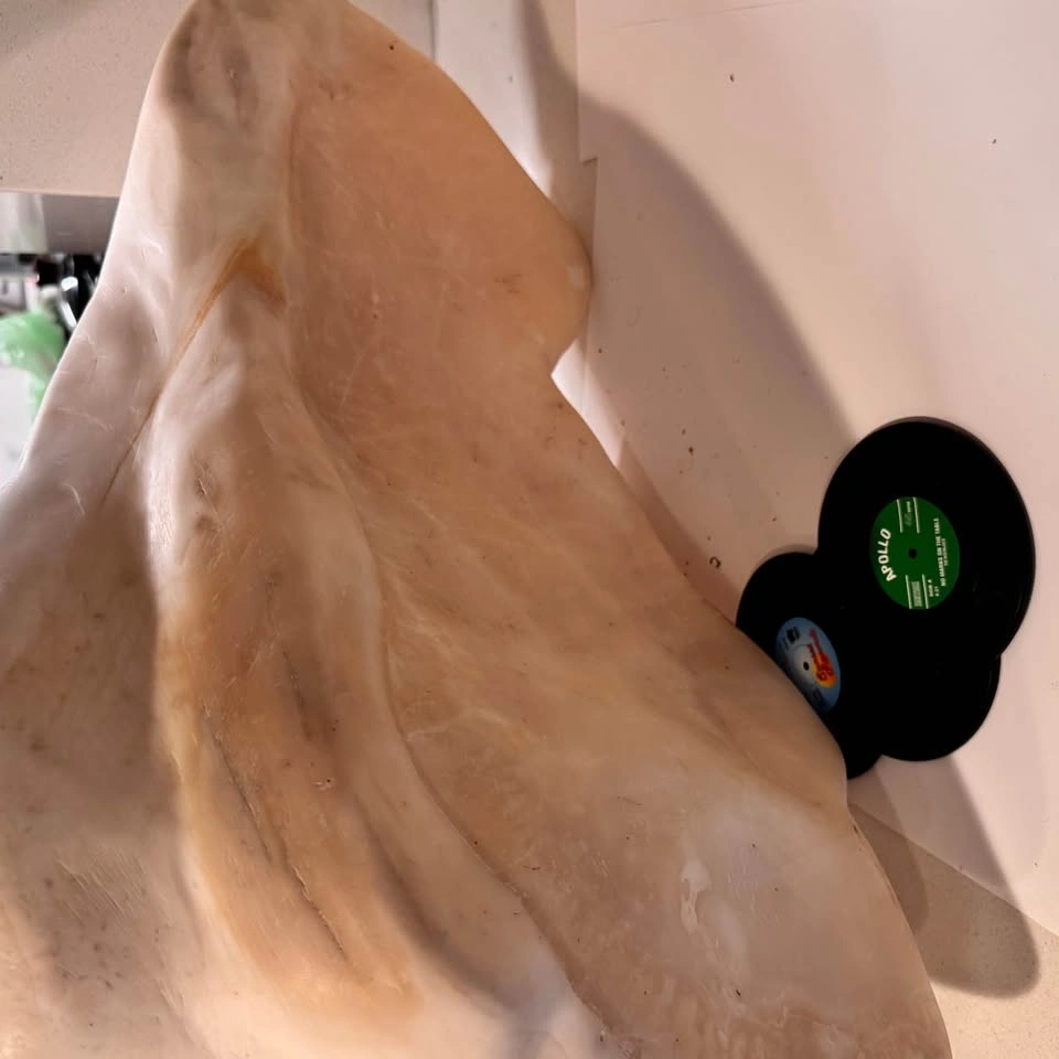 Natural Onyx Stone Statement Sink / Vanity – One of a Kind - photo 4