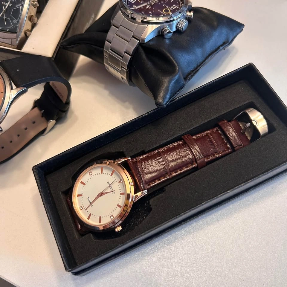Men’s Watch Lot - Citizen Eco Drive, Aldo, Unlisted - photo 3